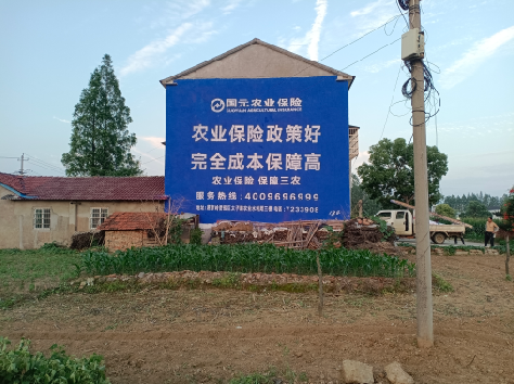 开封墙体广告为何受追捧？